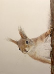 Esquirol
